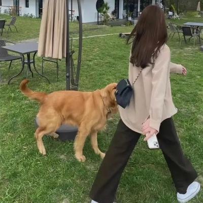 伴你到永远