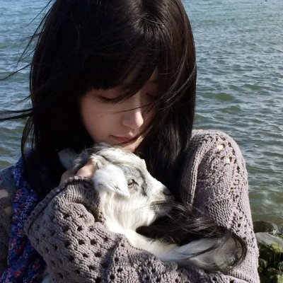 猛虎制黑龙